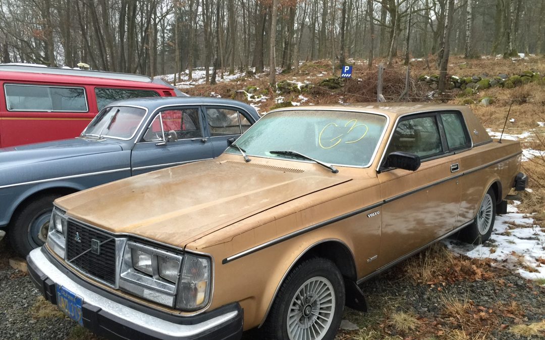 Två guldfärgade Volvocoupéer från 1981 och 1982, med turbomotorer