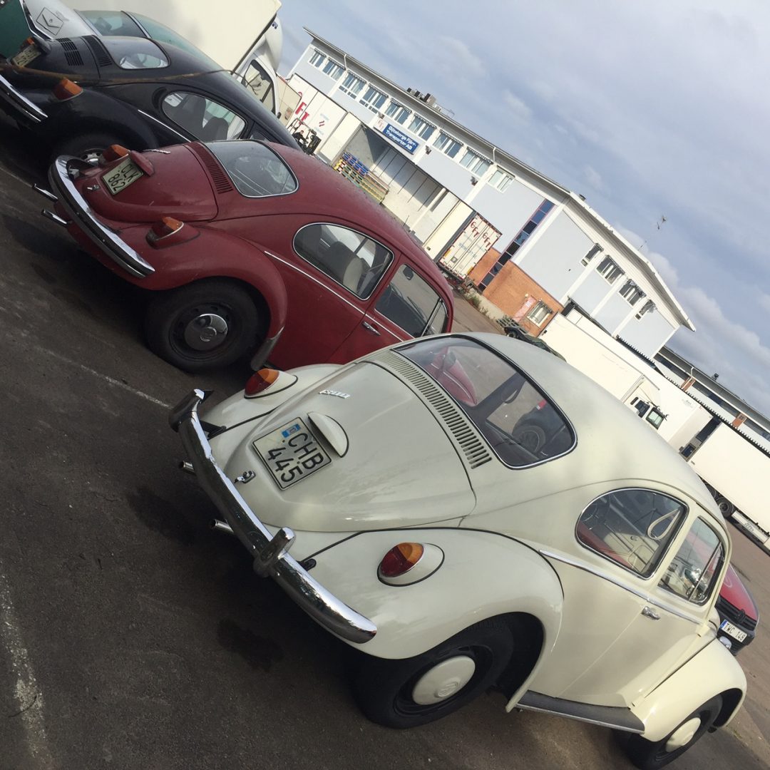Tre fina VW bubblor fr Norrland på väg in