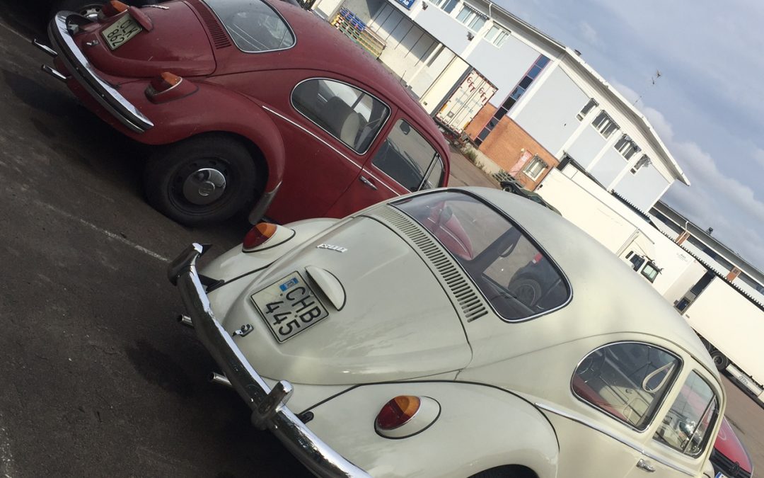 Tre fina VW bubblor fr Norrland på väg in